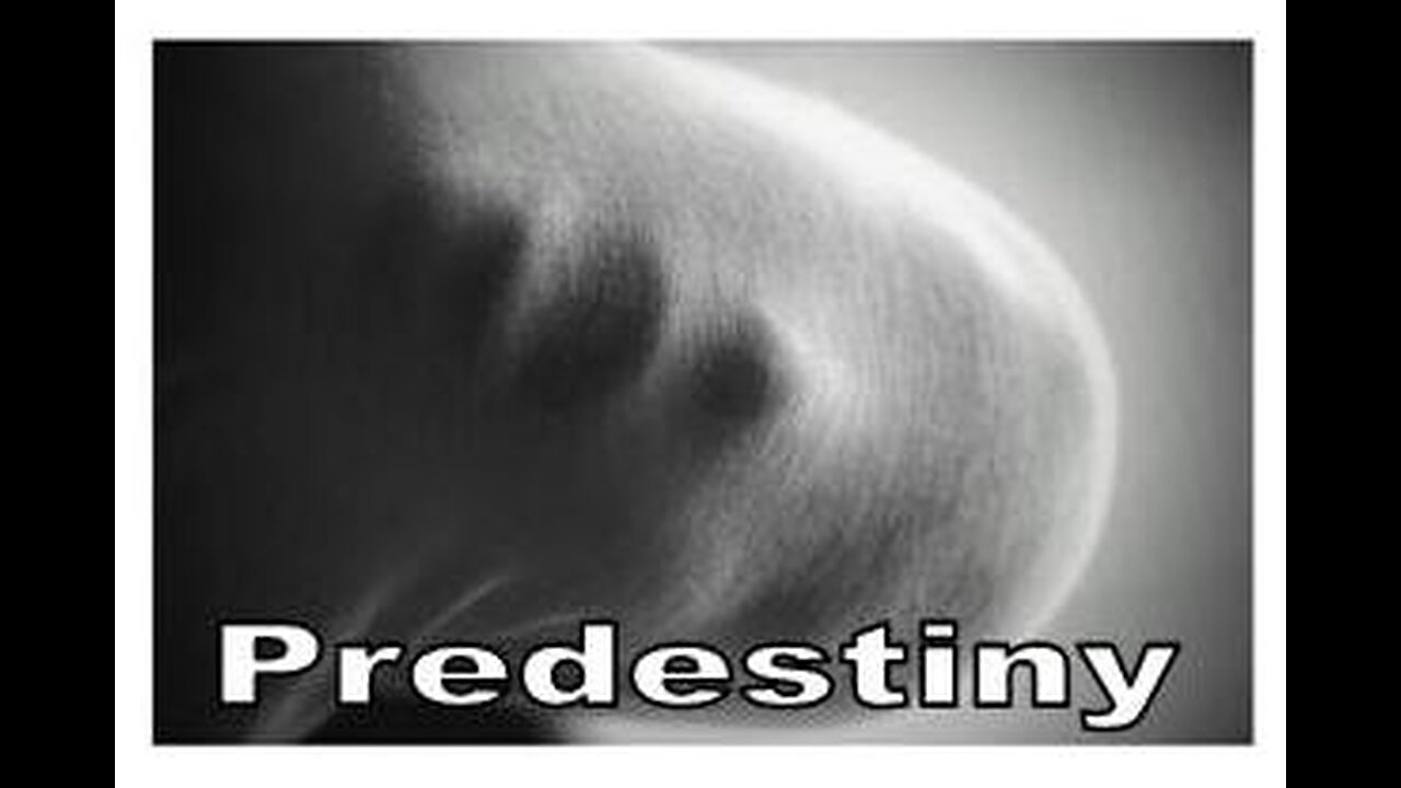 You Are Predestined