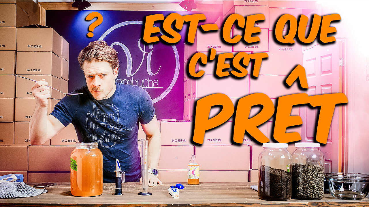 Comment savoir si mon Kombucha est prêt ?