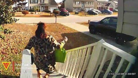 Woman Falling Down Steps Caught on Ring Camera | Doorbell Camera Video