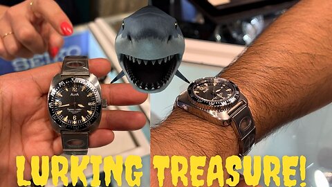 Leaving 2022 with a Treasure! (Watch Shopping)