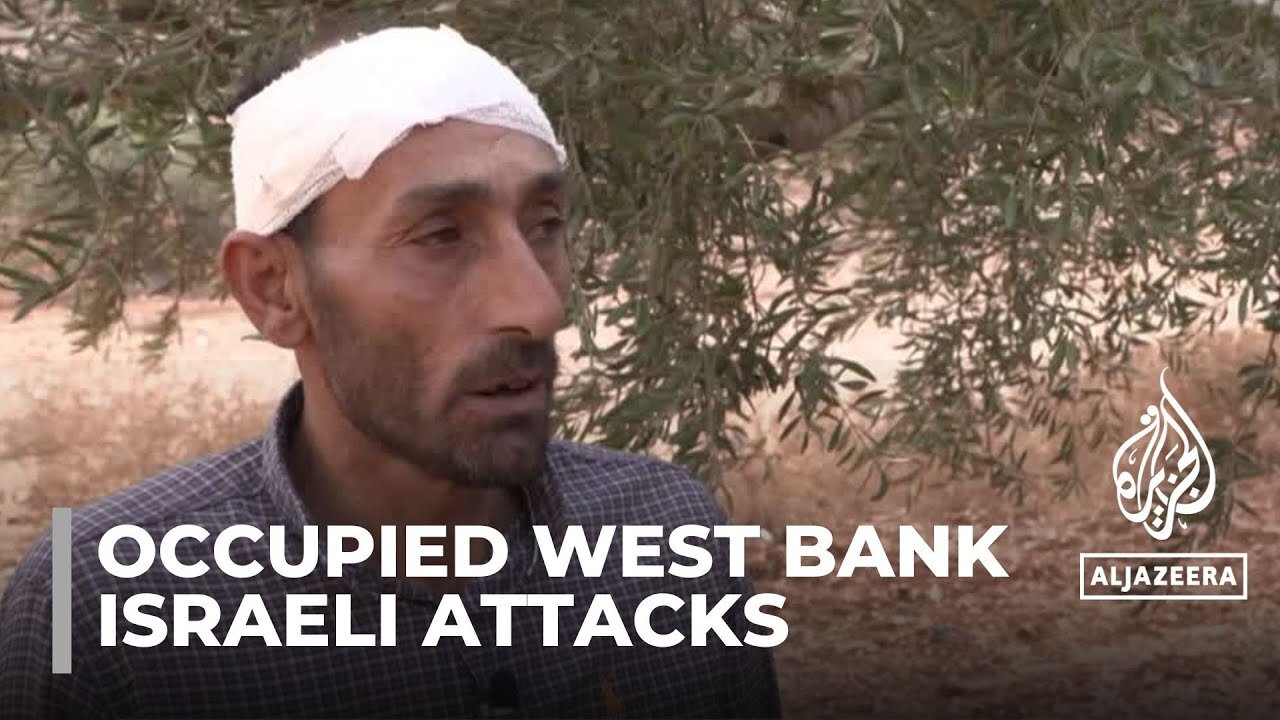 violence in occupied West Bank_ Palestinian olive picker face Israeli attacks