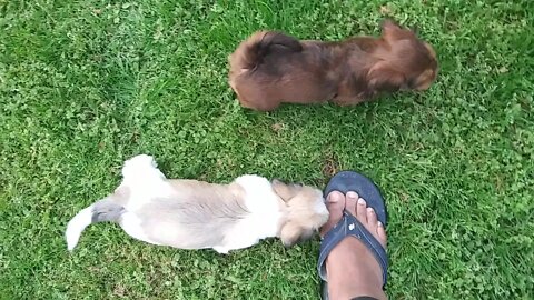 G Litter - outside Time
