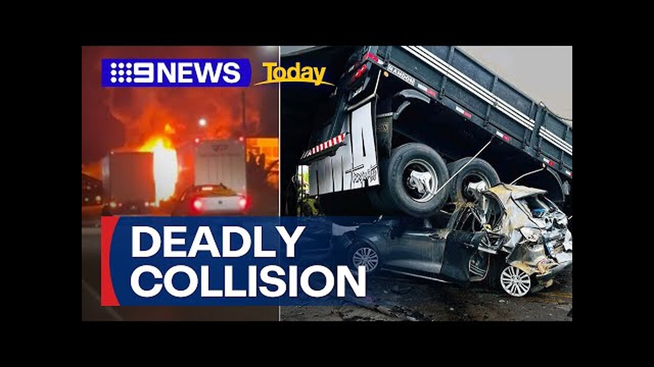 At least 37 killed after deadly Brazil motor collision | 9 News Australia