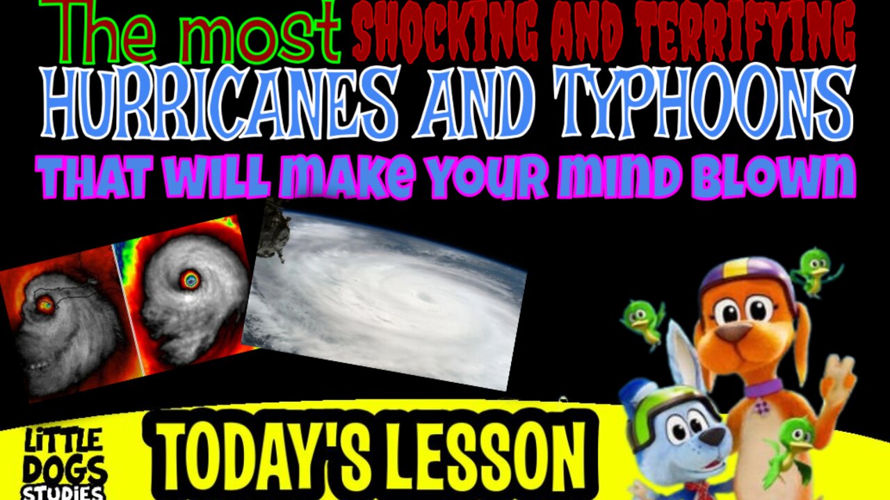 Little Dogs Studies on_ The most shock hurricanes and typhoons that will make your mind blown 😱😱😱😨