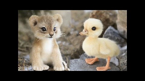 Cute baby animals Videos Compilation cute moment of the animals #18 Cutest Animals 2022