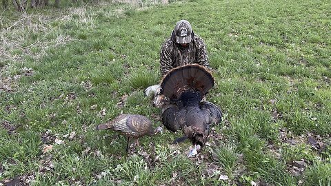 Iowa Turkey 4th Season!