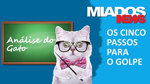 5 passos para um GOLPE