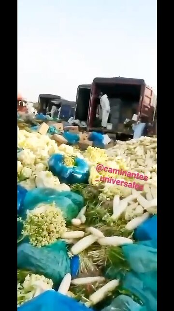 Food thrown in the trash with the excuse of having Covid