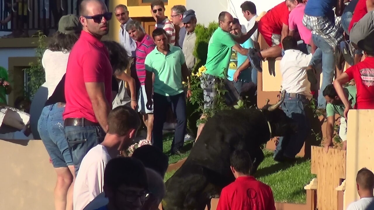 Tourada Ganadarias JAF & RB - Cambalim 2015 - Ilha Terceira - Açores