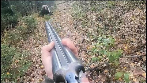 BEAR attacks russian man...