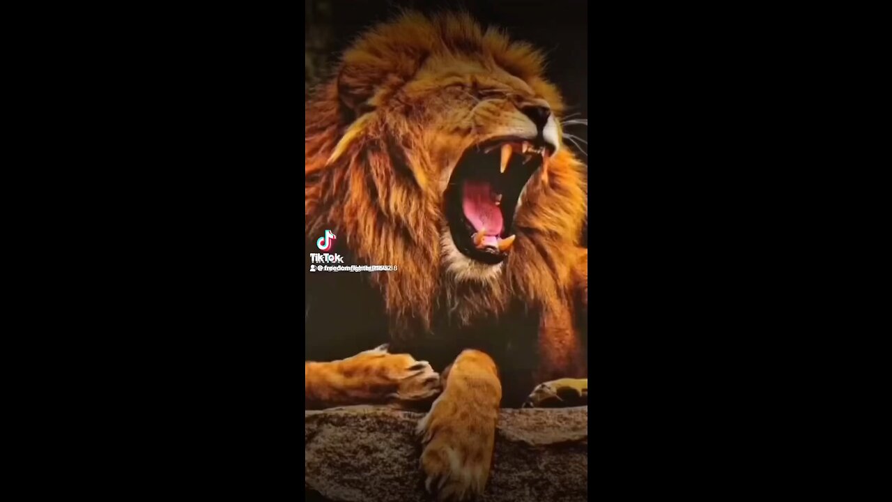 LION OF JUDAH