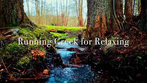 Gentle Running Creek to Help You Relax