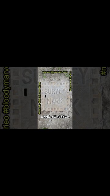 #maurieo #shorts HI I'M A LAND SURVEYOR