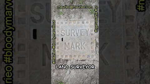 #maurieo #shorts HI I'M A LAND SURVEYOR