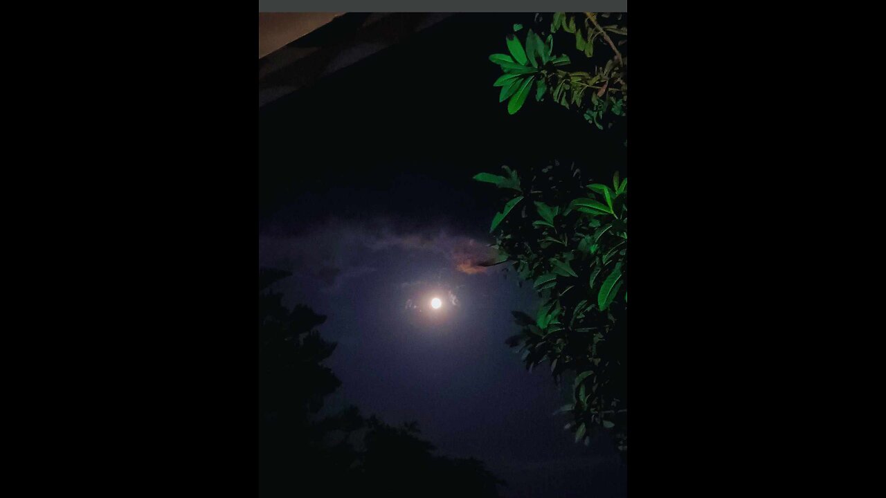 Natural video Quran Tilawat