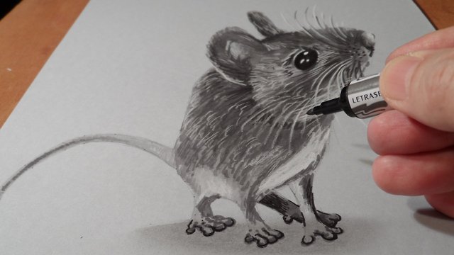 How to draw a 3D mouse