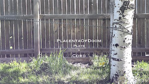 PlacentaOfDoom Plays A Cord