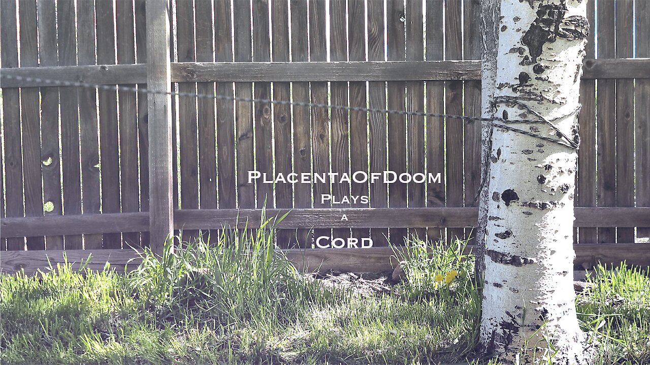 PlacentaOfDoom Plays A Cord