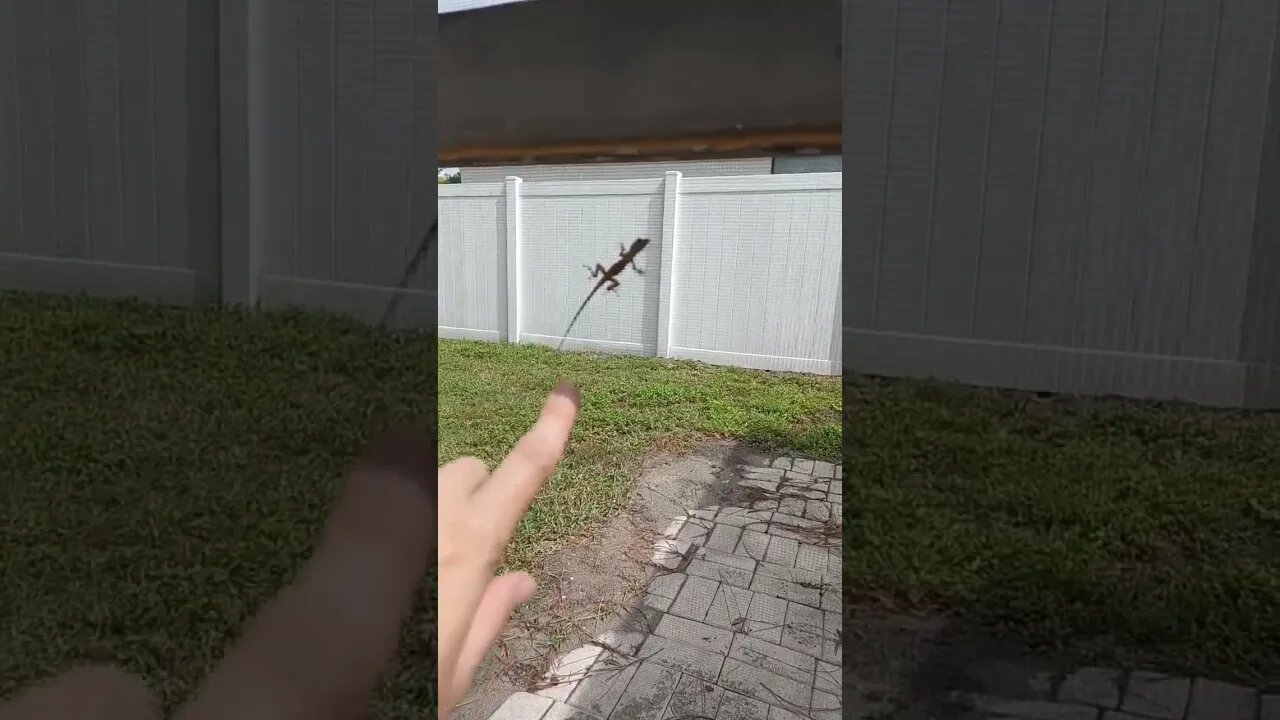 Reliving Childhood Memory in FLORIDA