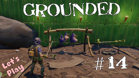 Let's Play | Grounded | #14