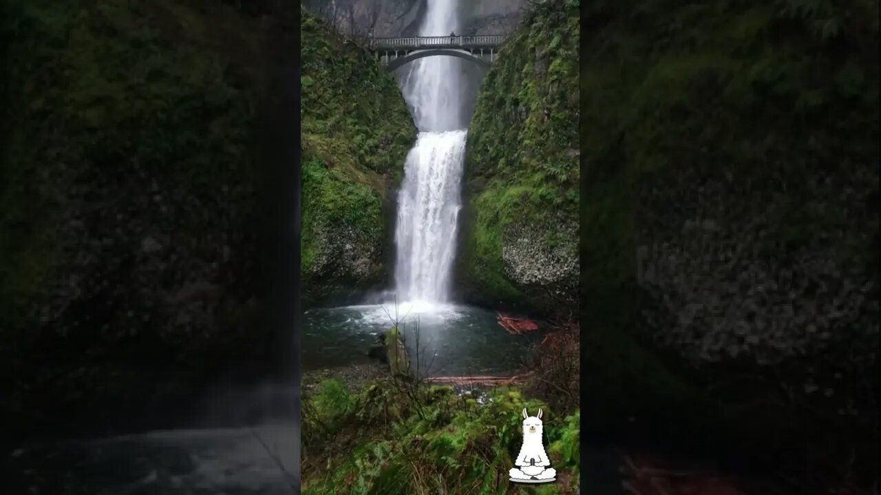 Relaxing Waterfall #short #shorts