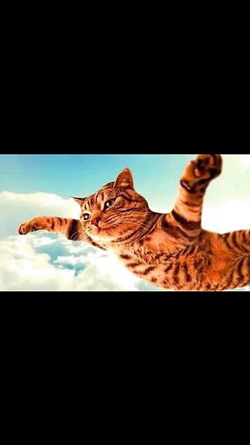 SPEAKER 🔈 OF THE HOUSE RACE 2023 !!!!!!!!!!!!