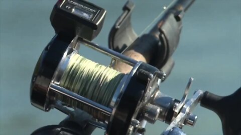 IDFG consider adding tiger muskie to Murtaugh lake