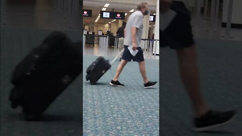 TSA Working Dog Having a Blast #Shorts