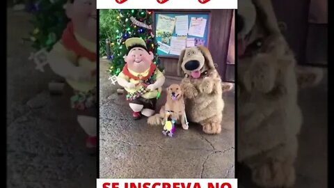 Cachorro brincando com os bonecos #shorts