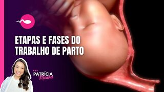 TRABALHO DE PARTO CONHEÇA AS FASES E ETAPAS | Pródromo, Latente, Ativa e Expulsivo - Boa Gravidez