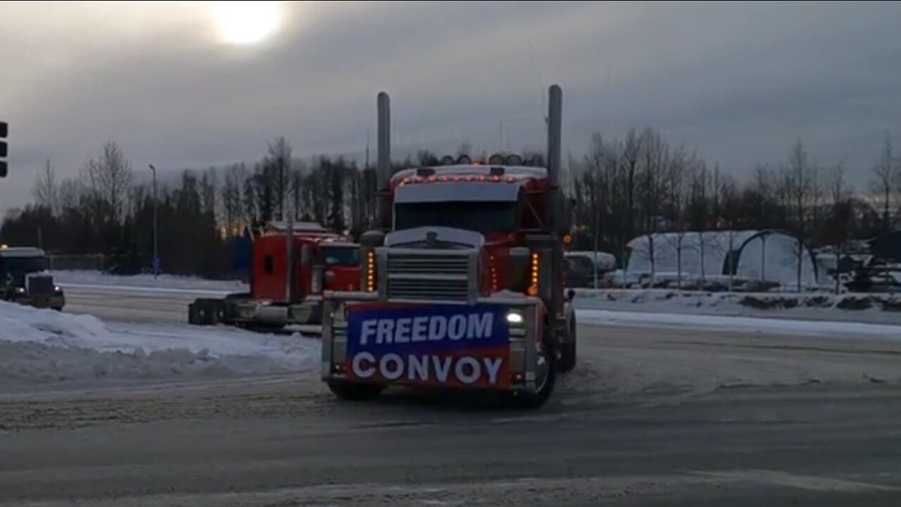 Freedom Convoy Is Going Global!