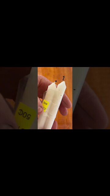 24 Hours Thrift Shop Survival Challenge