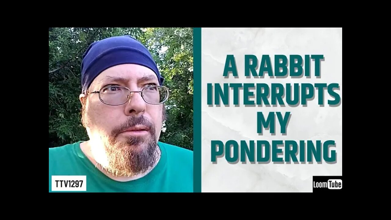 A RABBIT INTERRUPTS MY PONDERING - 071121 TTV1297