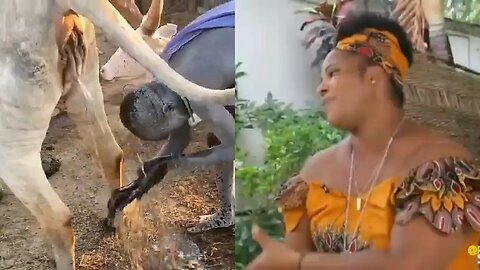 Diversity is our strength 12