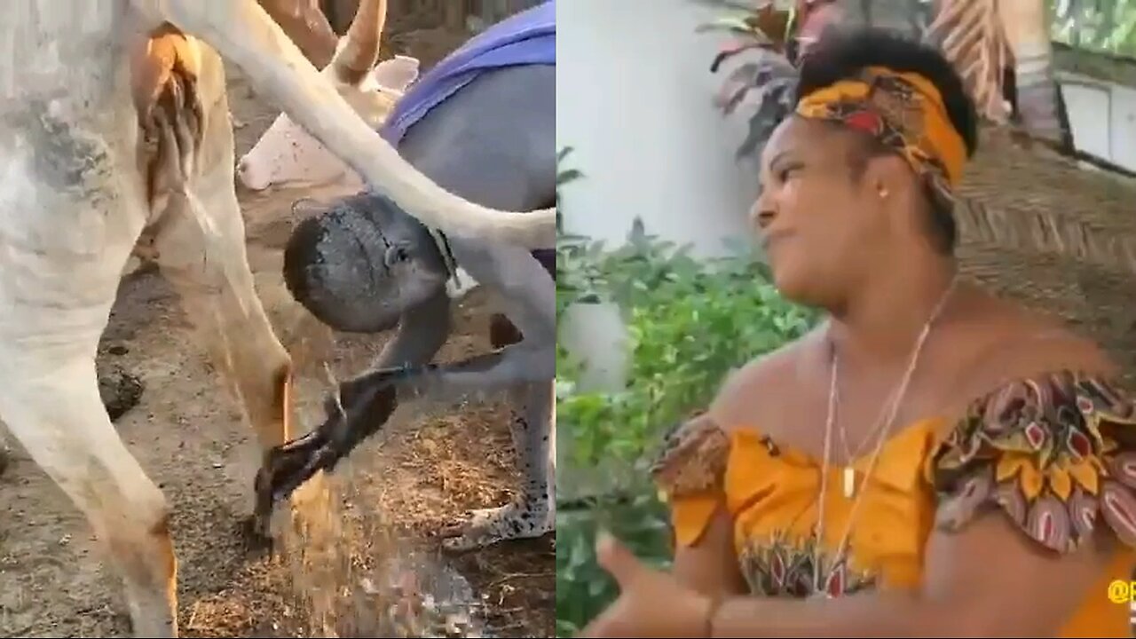 Diversity is our strength 12