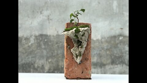 ( Good Idea ). How to Make Mini Landscapes From Rocks And Moss