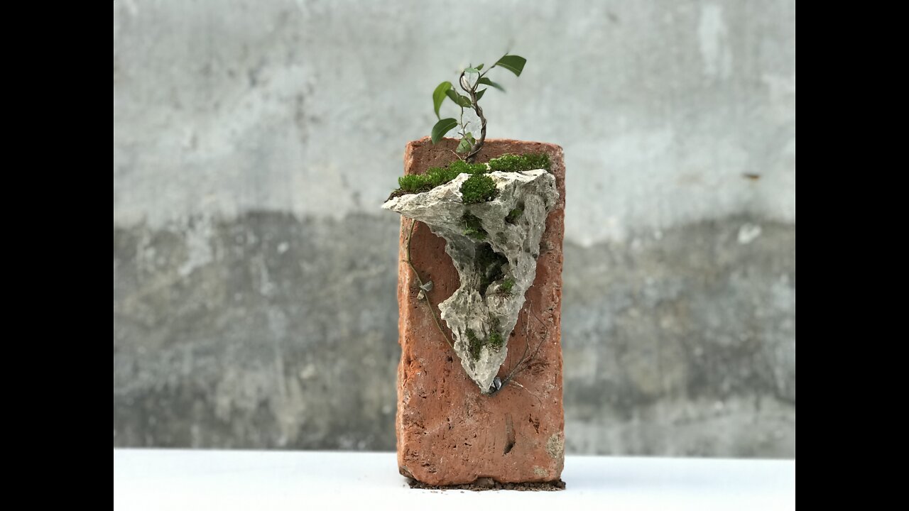 ( Good Idea ). How to Make Mini Landscapes From Rocks And Moss