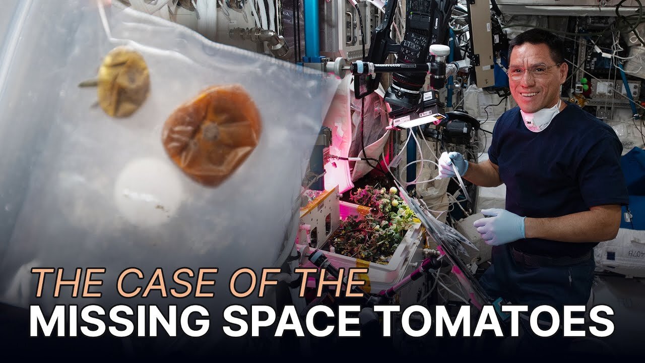 The Case of The Missing Space Tomatoes