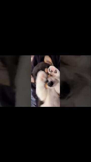 Don’t look at me! Please stop 🙈