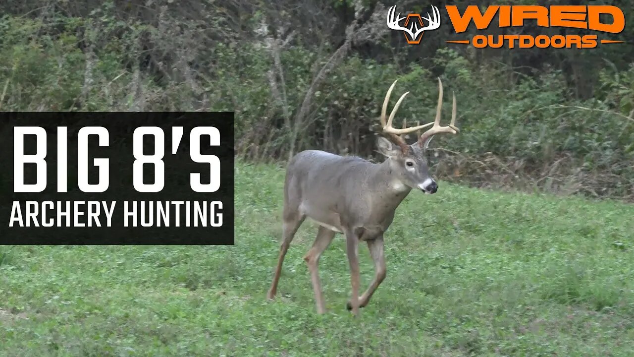 Big 8’s Archery Hunting
