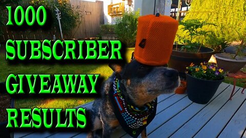 1000 SUBSCRIBERS GIVEAWAY WINNERS !