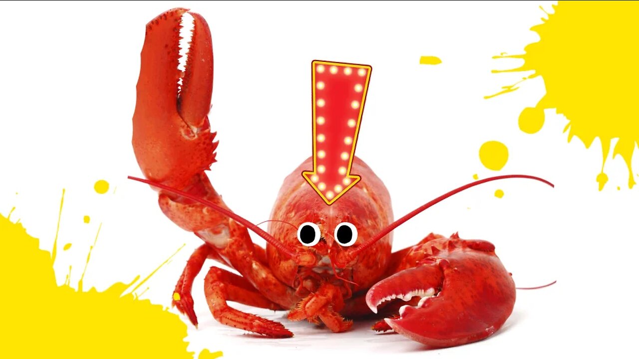 Lobsters store Pee in their head!