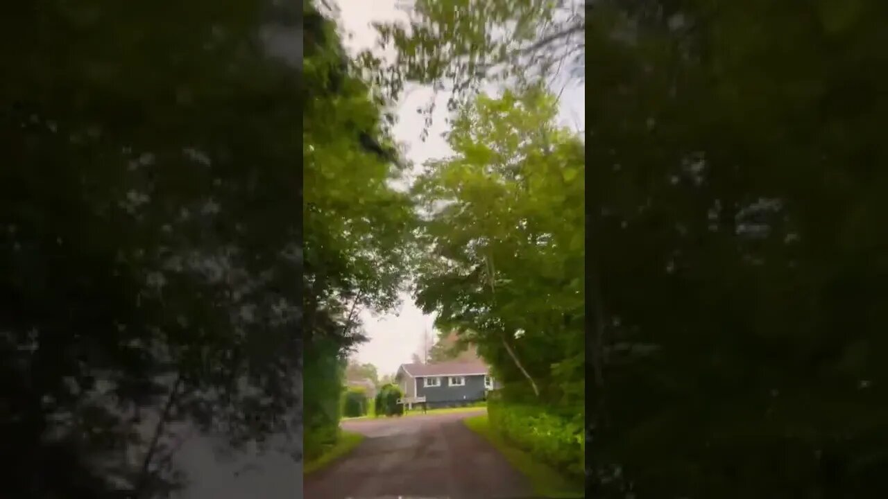 Driving to our cottage in Alberton