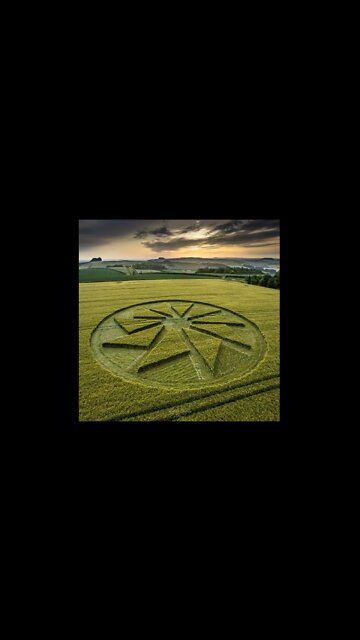 Magnificent Crop Circle ~ White Horse at Hackpen Hill Wiltshire UK | June 19, 2022