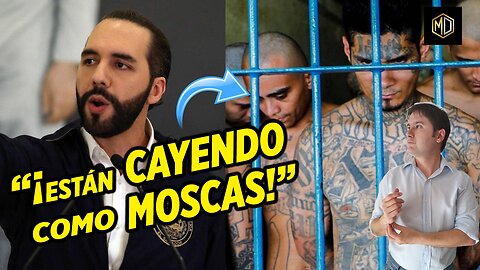 🚨 👊 MANO DURA de Bukele CONTRA las pandillas: ¿Por qué tiene TANTO ÉXITO?