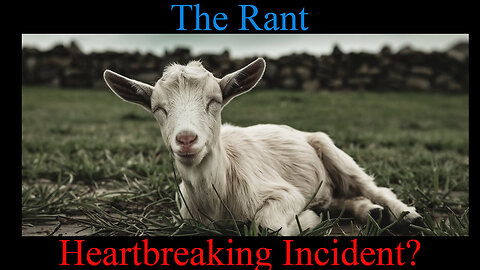 The Rant-Heartbreaking Incident?