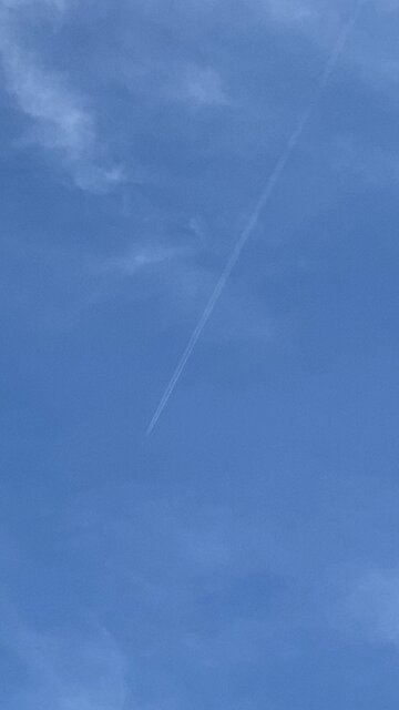 "Even my Cat wants in"