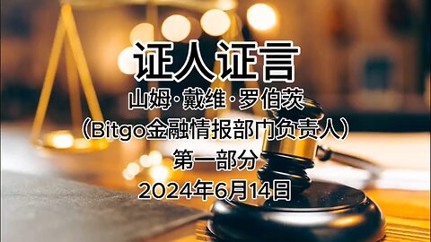 2024年6月14日 郭文贵先生庭审 检方第18位证人-山姆·戴维·罗伯茨（Bitgo金融情报部门负责人）AI中文朗读（1）