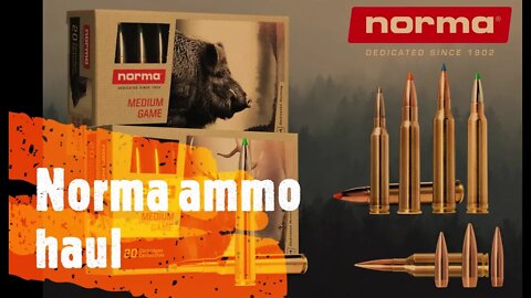 Hornady ammo Haul 223 45acp