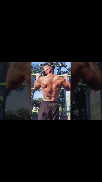 How To Increase Your Pull-Ups From 0 to 10+ Reps FAST Pull ups Technique